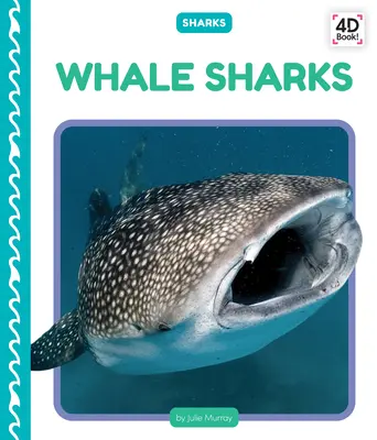 Requins-baleines - Whale Sharks