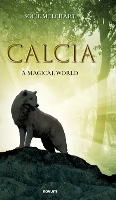 Calcia : Un monde magique - Calcia: A Magical World