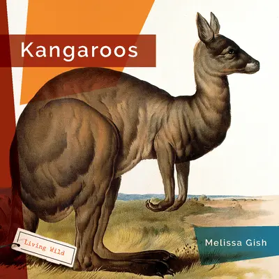 Kangourous - Kangaroos