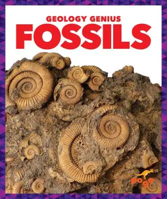 Fossiles - Fossils