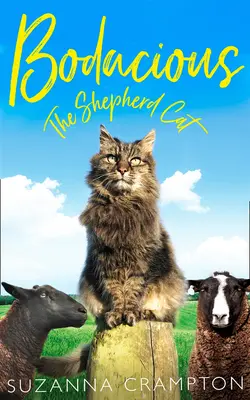 Bodacious : le chat de berger - Bodacious: The Shepherd Cat