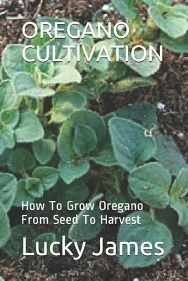 Culture de l'origan : Comment cultiver l'origan de la graine à la récolte - Oregano Cultivation: How To Grow Oregano From Seed To Harvest