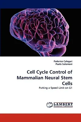 Contrôle du cycle cellulaire des cellules souches neurales de mammifères - Cell Cycle Control of Mammalian Neural Stem Cells