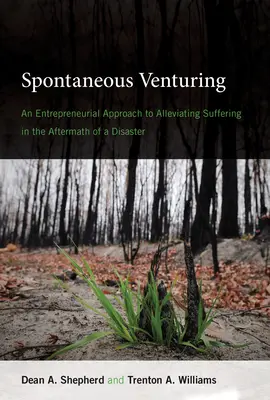 L'aventure spontanée : Une approche entrepreneuriale pour atténuer la souffrance après une catastrophe - Spontaneous Venturing: An Entrepreneurial Approach to Alleviating Suffering in the Aftermath of a Disaster