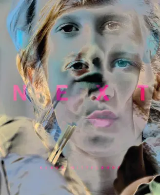 Klaus Mitteldorf : Suivant - Klaus Mitteldorf: Next