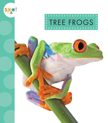 Grenouilles arboricoles - Tree Frogs