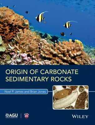 Origine des roches sédimentaires carbonatées - Origin of Carbonate Sedimentary Rocks