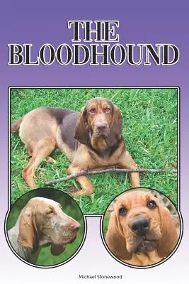 Le chien de sang : Un guide complet et détaillé pour les débutants : L'achat, la possession, la santé, le toilettage, le dressage, l'obéissance, la compréhension... - The Bloodhound: A Complete and Comprehensive Beginners Guide To: Buying, Owning, Health, Grooming, Training, Obedience, Understanding