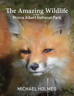 La faune étonnante du parc national de Prince Albert - The Amazing Wildlife in the Prince Albert National Park