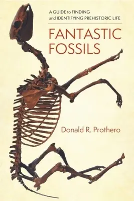 Fossiles fantastiques : Un guide pour trouver et identifier la vie préhistorique - Fantastic Fossils: A Guide to Finding and Identifying Prehistoric Life