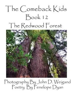 Les enfants du retour, livre 12, la forêt de Redwood - The Comeback Kids, Book 12, the Redwood Forest