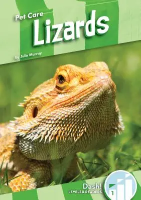 Lézards - Lizards