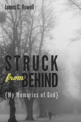 Frappé par derrière : Mes souvenirs de Dieu - Struck from Behind: My Memories of God