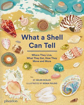 Ce qu'un coquillage peut dire - What a Shell Can Tell