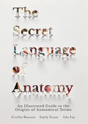 Le langage secret de l'anatomie : Un guide illustré des origines des termes anatomiques - The Secret Language of Anatomy: An Illustrated Guide to the Origins of Anatomical Terms