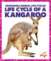 Cycle de vie d'un kangourou - Life Cycle of a Kangaroo