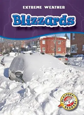 Blizzards