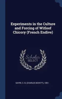 Expériences de culture et de forçage de la chicorée de Witloof (endive française) - Experiments in the Culture and Forcing of Witloof Chicory (French Endive)