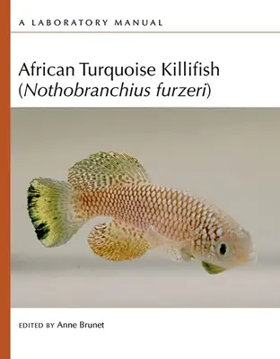 Le poisson-turquoise africain (Nothobranchius Furzeri) : Manuel de laboratoire - African Turquoise Killifish (Nothobranchius Furzeri): A Laboratory Manual