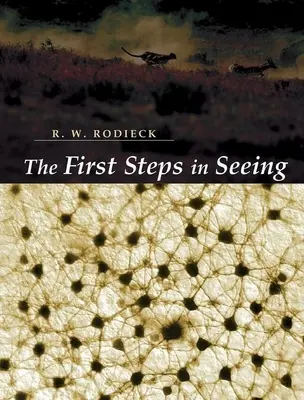 Les premiers pas de la vision - The First Steps in Seeing