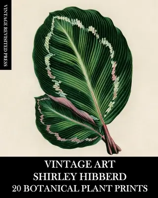 Art Vintage : Shirley Hibberd 20 tirages de plantes botaniques - Vintage Art: Shirley Hibberd 20 Botanical Plant Prints