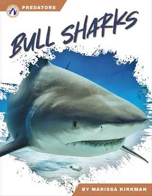 Requins taureaux - Bull Sharks