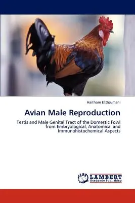 Reproduction masculine aviaire - Avian Male Reproduction