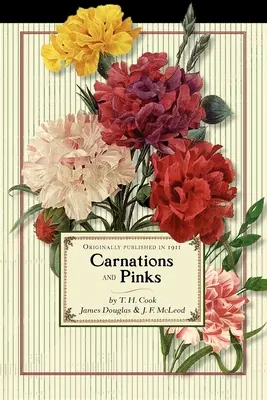 Œillets et roses - Carnations and Pinks