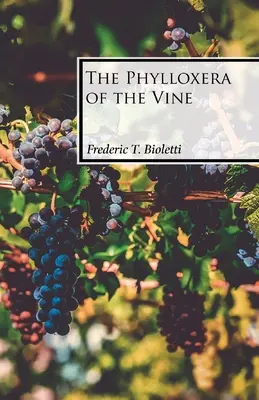 Le phylloxéra de la vigne - The Phylloxera of the Vine