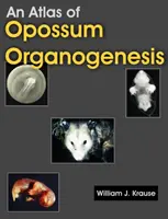 Atlas de l'organogenèse de l'opossum : Le développement de l'opossum - An Atlas of Opossum Organogenesis: Opossum Development