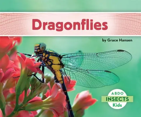 Libellules - Dragonflies