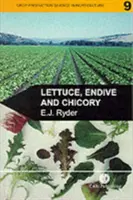 Laitue, endive et chicorée - Lettuce, Endive and Chicory