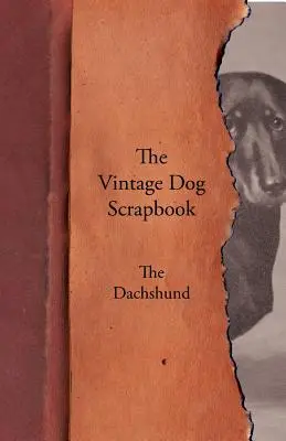 Livre d'images du chien vintage - Le Teckel - The Vintage Dog Scrapbook - The Dachshund