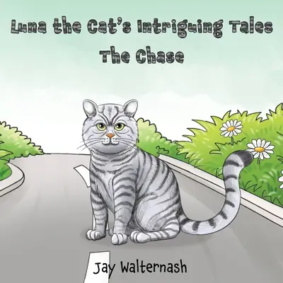 Les histoires intrigantes de Luna le chat : la poursuite - Luna the Cat's Intriguing Tales: the Chase