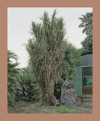 Oksun Kim : L'île de Jeju - Oksun Kim: Jeju Island