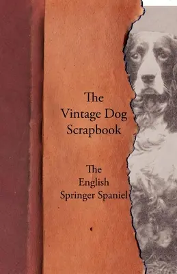 Le livre de scrapbooking du chien d'époque - L'épagneul Springer anglais - The Vintage Dog Scrapbook - The English Springer Spaniel