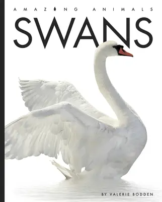 Cygnes - Swans