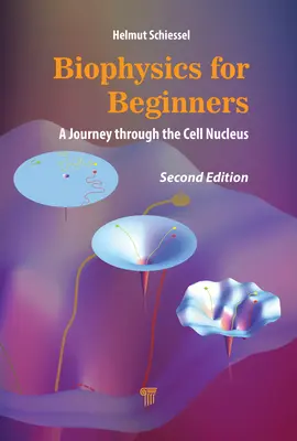 La biophysique pour les débutants : Un voyage à travers le noyau cellulaire - Biophysics for Beginners: A Journey through the Cell Nucleus