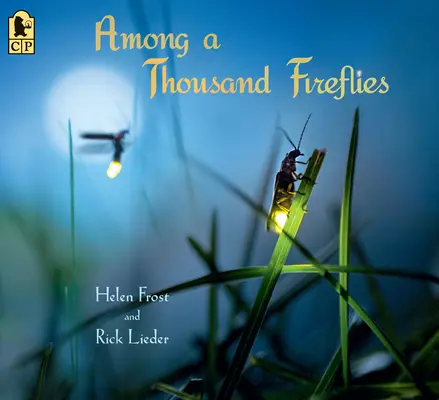 Parmi mille lucioles - Among a Thousand Fireflies