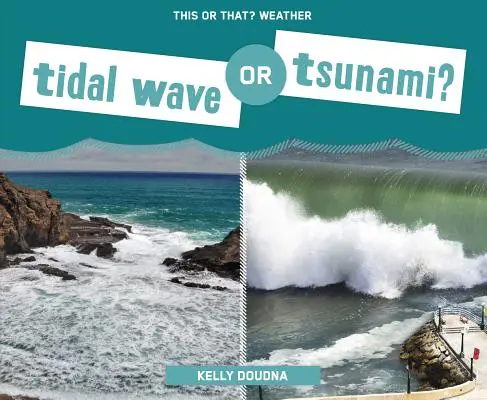 Raz-de-marée ou tsunami ? - Tidal Wave or Tsunami?