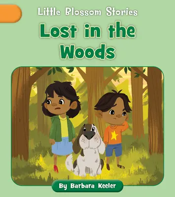 Perdus dans les bois - Lost in the Woods