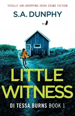 Petit témoin : Un roman policier irlandais absolument époustouflant - Little Witness: Totally jaw-dropping Irish crime fiction