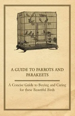 A Guide to Parrots and Parakeets - A Concise Guide to Buying and Caring for These Beautiful Birds (Guide des perroquets et des perruches - Guide concis pour l'achat et l'entretien de ces magnifiques oiseaux) - A Guide to Parrots and Parakeets - A Concise Guide to Buying and Caring for These Beautiful Birds