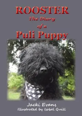 Rooster - le journal d'un chiot Puli - Rooster - the Diary of a Puli Puppy