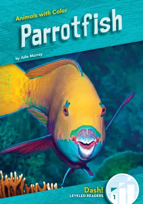 Poisson-perroquet - Parrotfish