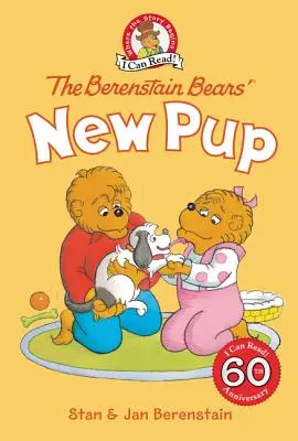 Le nouveau chiot des Berenstain - The Berenstain Bears' New Pup