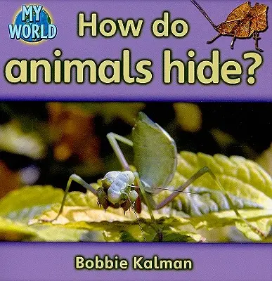 Comment les animaux se cachent-ils ? - How Do Animals Hide?