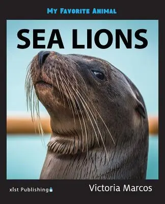 Mon animal préféré : les lions de mer - My Favorite Animal: Sea Lions