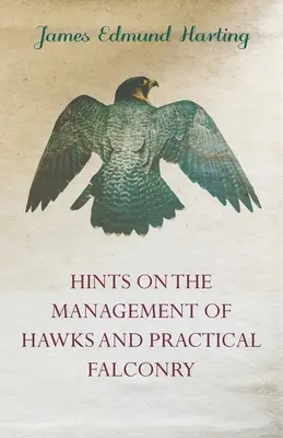 Conseils sur la gestion des faucons et la fauconnerie pratique - Hints on the Management of Hawks and Practical Falconry