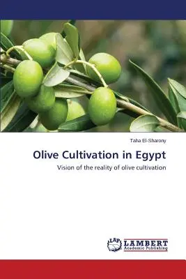 La culture de l'olivier en Égypte - Olive Cultivation in Egypt